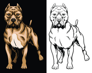 full colors and line art pitbull vector illustration in separated layer