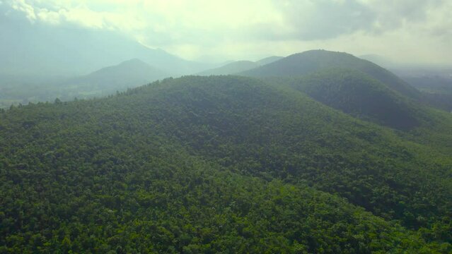 Aerial landscape with green hills and forest