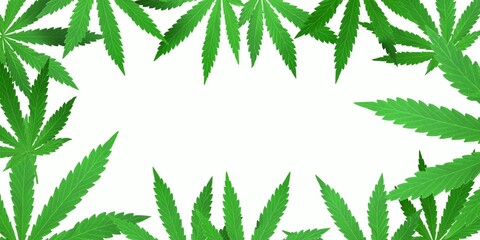 Cannabis leaves on a white background, with space for text. Frame of marijuana leaves. 3D render