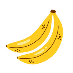 Vector banana bunch. Cute bananas in flat design. Two bananas isolated on white. Tropical fruit.