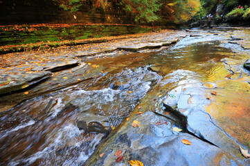 a stream in a canyon in autumn