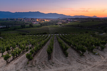Vineyards and town of Elciego at sunrise, Rioja Alavesa, Spain