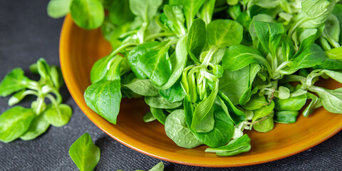 mache salad green corn leaves mung bean lettuce fresh healthy meal food snack diet on the table copy space food background keto or paleo diet veggie vegan or vegetarian food no meat