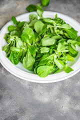 mache salad green corn leaves mung bean lettuce fresh healthy meal food snack diet on the table copy space food background keto or paleo diet veggie vegan or vegetarian food no meat