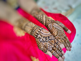 Picture of henna or mehndi design drawn on a woman's hand 