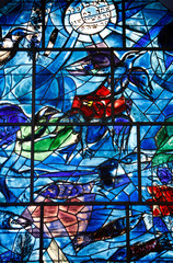 Stained glass window in the synagogue of the Hadassah hospital : Tribes of Israel : Reuben