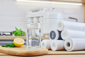 Glass of filtered clean water with reverse osmosis filter, lemons and cartridges on table in...