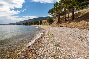 Fototapeta na wymiar Summer landscape of the shore of Baikal Lake with a pebble beach and coniferous trees on the coast of the Small Sea on a sunny day