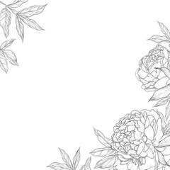 vintage peonies, a frame, a hand-drawn sketch, a pencil black and white drawing, a bouquet of flowers, a ready-made floral wedding composition of opened flowers
