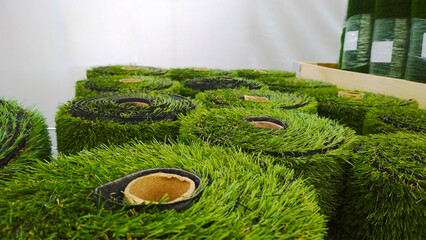 Rolls of green artificial grass carpet or wall in supermarket. Hypermarket for gardeners. Landscape...