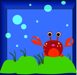 beautiful picture of crab underwater