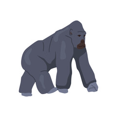 Gorilla African animals and wildlife, isolated primate species. Orangutan or big ape. Zoology and biodiversity of Africa. Flat cartoon, vector illustration