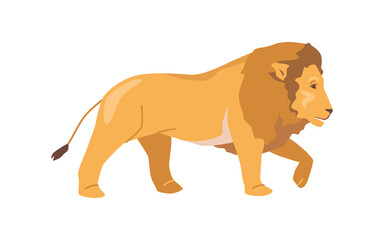Lion african animal isolated flat cartoon wild brave and strong jungle animal with mane, side view. Vector illustration of walking lion with long tail, leo symbol