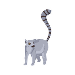 Lemur African fauna and biodiversity, isolated animal with long striped tail and furry coat. Wildlife and exotic species in Africa. Flat cartoon, vector illustration