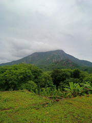 Mountain covered by cloud and it's wide view.