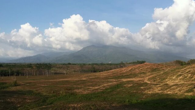 Time Lapse, Cloud moving on Rubber plantation farming area in the south of Thailand, Latex rubber, Para rubber tree garden