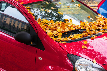 Urban landscape. Car covered with autumn leaves - 516310887
