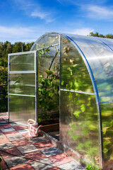 greenhouse for growing vegetables in summer - 516310896