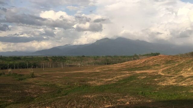 Time Lapse, Cloud moving on Rubber plantation farming area in the south of Thailand, Latex rubber, Para rubber tree garden
