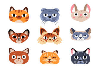Vector illustration of funny emotional cat faces. Animal portraits for stickers, masks, icons, avatars, social media. Expressive pet characters. Cat day. Flat hand drawn cartoon vector illustration