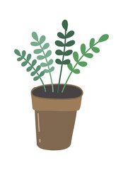 Nature basil seedlings. Heatly vegetable plant. Simple vector drawing illustration