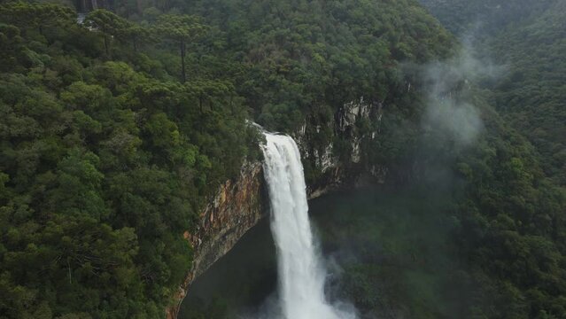 Beautiful Waterfall among Lush Dense Greenery. Aerial View