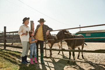 Grand parents and grand daughter near donkeys