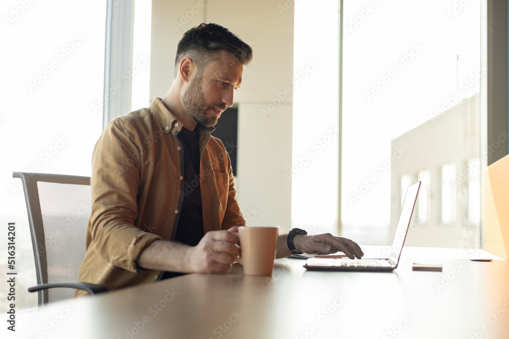 Poster side view shot of businessman using laptop computer in office