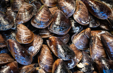 marinated mussels in close up
