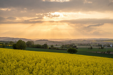 Obraz premium Country landscape in sunshine in Germany