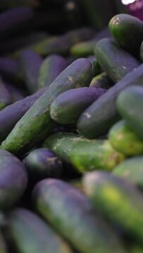 Vertical video of cucumbers on display in blue basket with green vegetables for sale at local farms market.