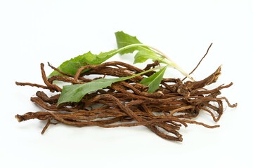 Organic dried roots of dandelion, Taraxacum officinale, traditional herbal medicine. Roots prepared...