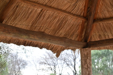 Fototapeta na wymiar images of the roof of a thatched quincho