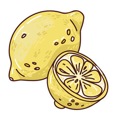 cute hand drawn illustraton of lemon