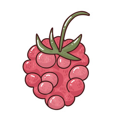 cute hand drawn illustraton of raspberry