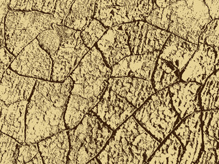 The texture of cracks. The structure of dry cracked soil. Monochrome vector illustration.