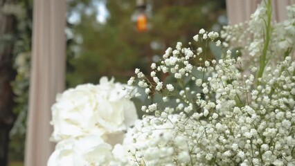 Bouquet of gypsophila paniculata and chrysanthemum in white colors, close-up slow motion. 