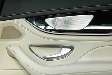 luxury door in a modern expensive car with ambient lighting and seat adjustments