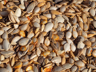 Natural textured background. A mixture of different seeds in close-up