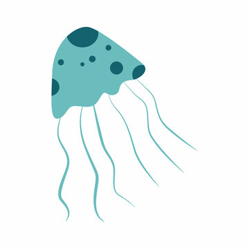 Jellyfish. Vector illustration isolated on white background.