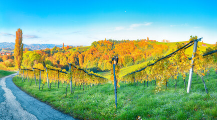 Fototapeta premium Stunning vineyards landscape in South Styria near Gamlitz.