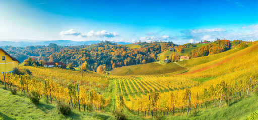 Obraz premium Breathtaking vineyards landscape in South Styria near Gamlitz.