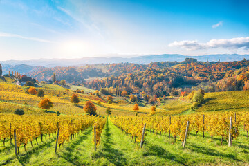Fototapeta na wymiar Fabulous vineyards landscape in South Styria near Gamlitz.