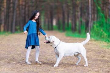 Cute little girl walks the dog in the park. White labrador.