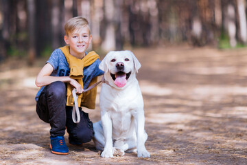 A boy in an embrace with a white dabrador. Walking