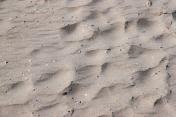wind blown sand waves on beach