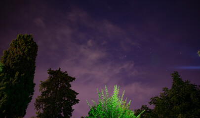 Trees in the night sky 3