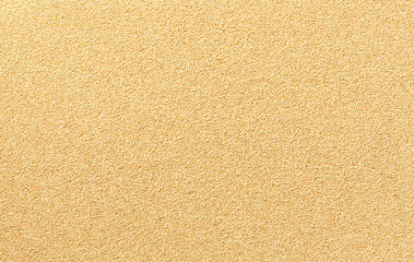 close-up texture of raw amaranth top view.