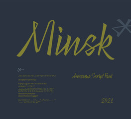 Minsk Script Font. Vector Set of Letters. Vector illustration