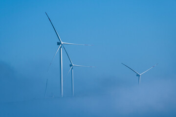 Fototapeta premium Wind Turbines in The Fog
